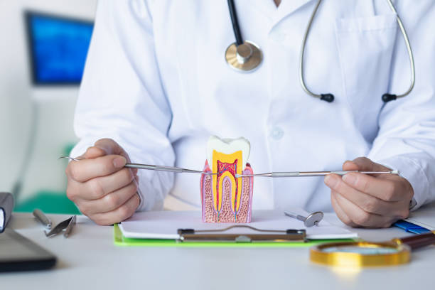 Best Emergency Dentist for Knocked-Out Tooth in University At Buffalo, NY